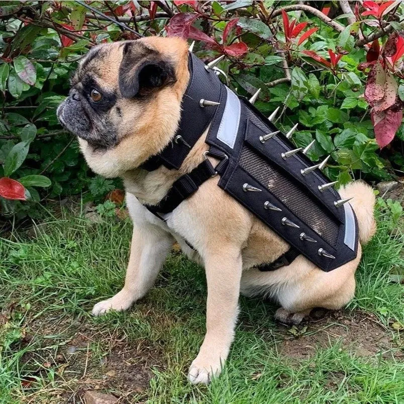 predator protection spiked harness