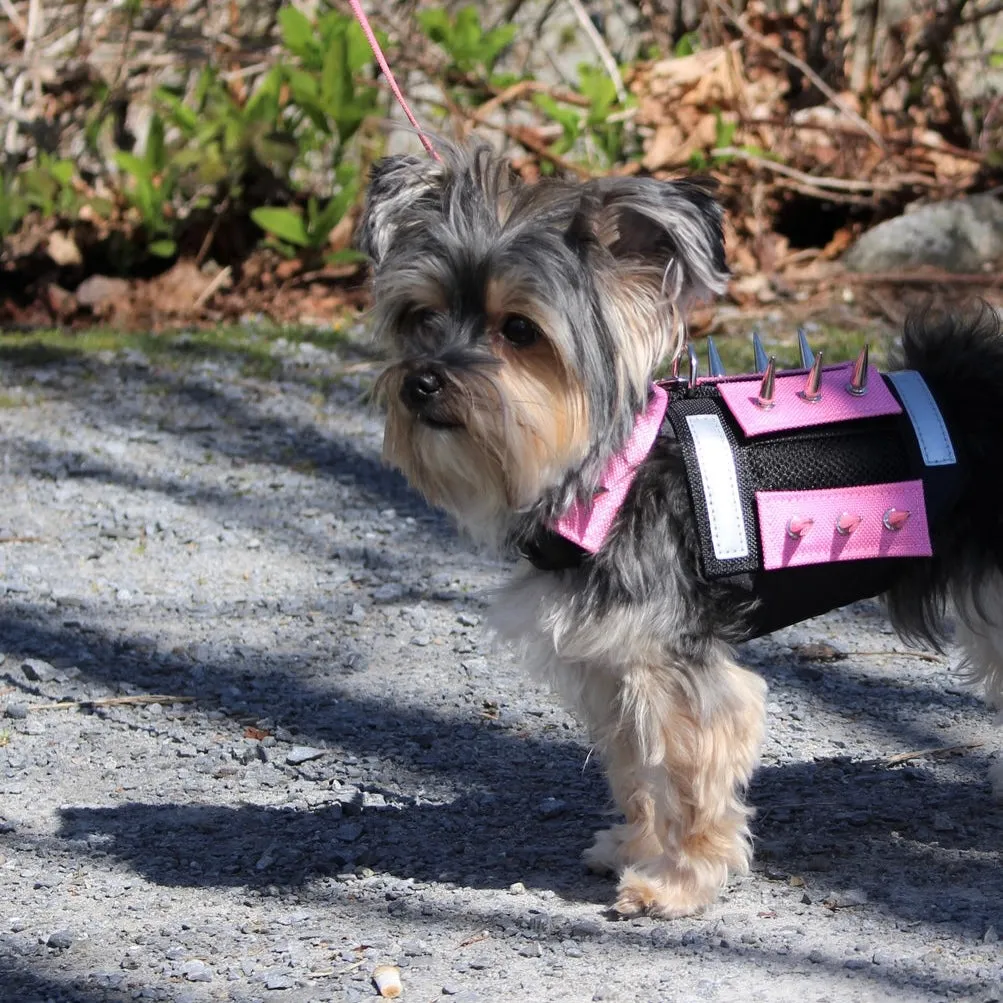 predator protection spiked harness