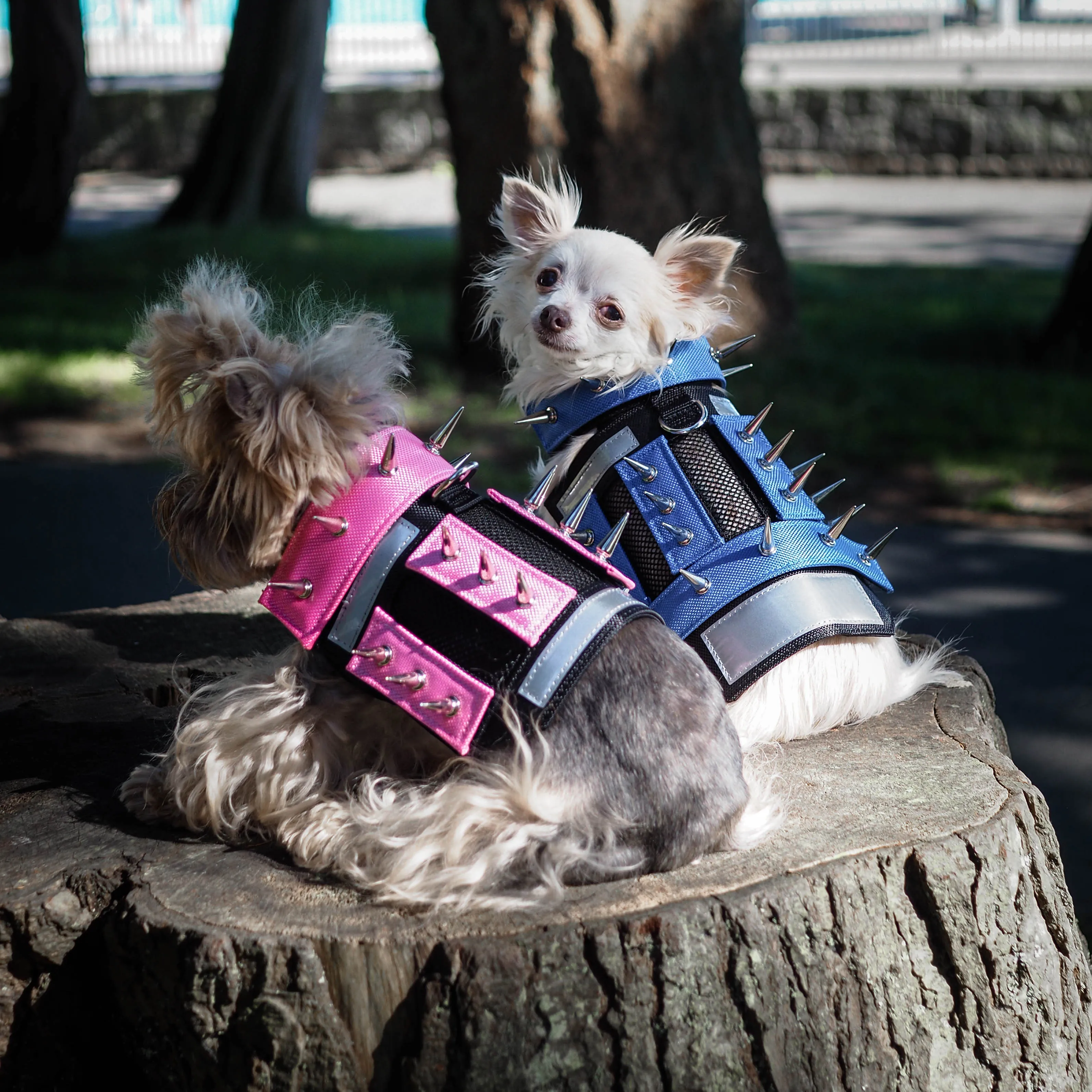 predator protection spiked harness