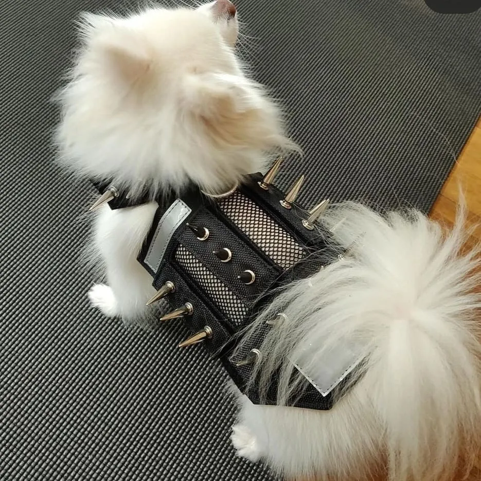 predator protection spiked harness