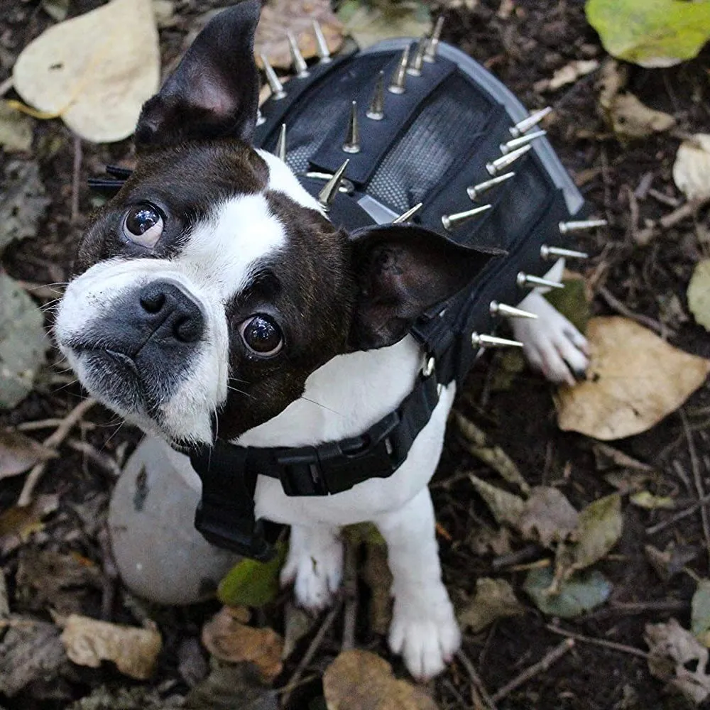 predator protection spiked harness