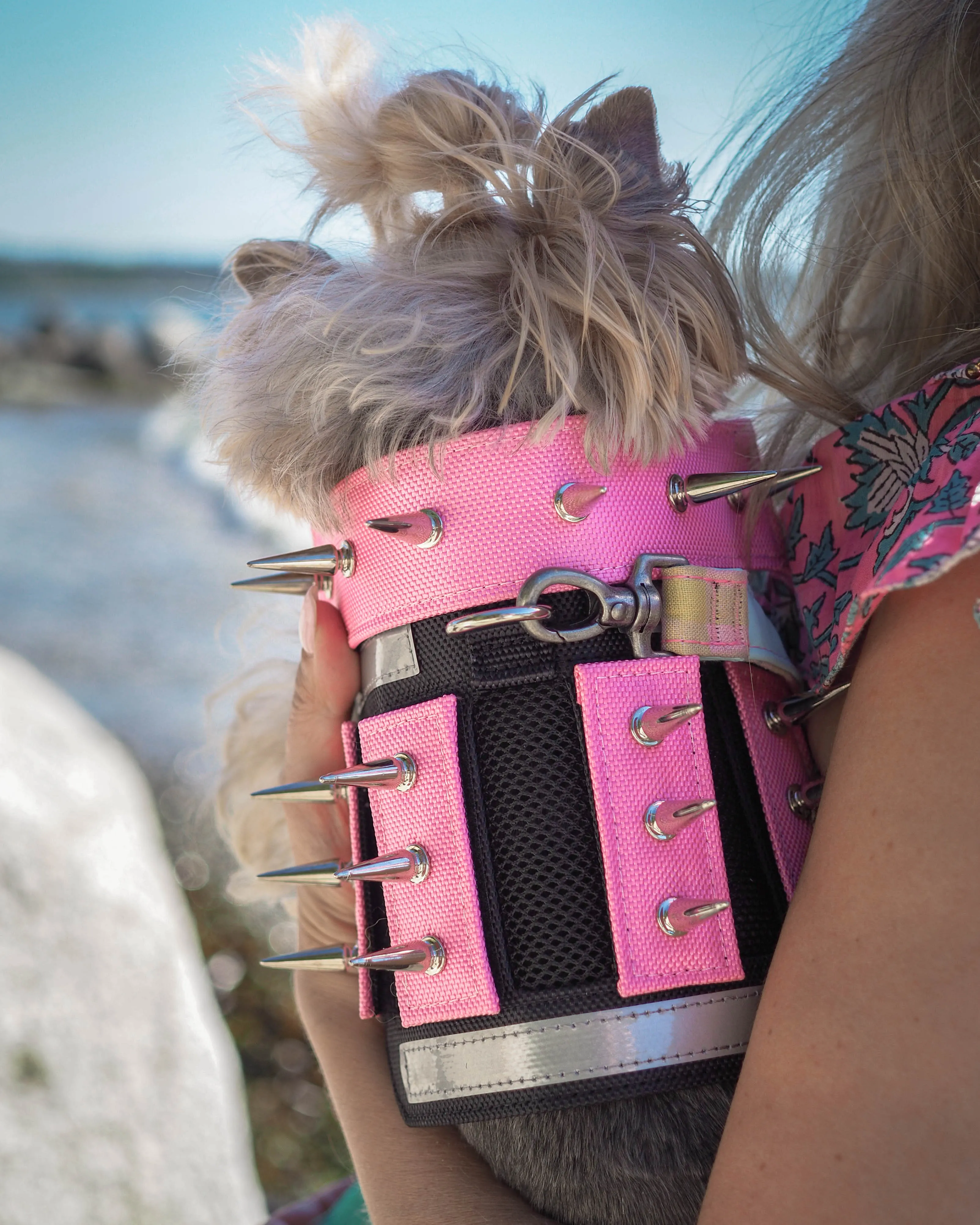 predator protection spiked harness