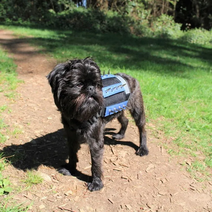 predator protection spiked harness