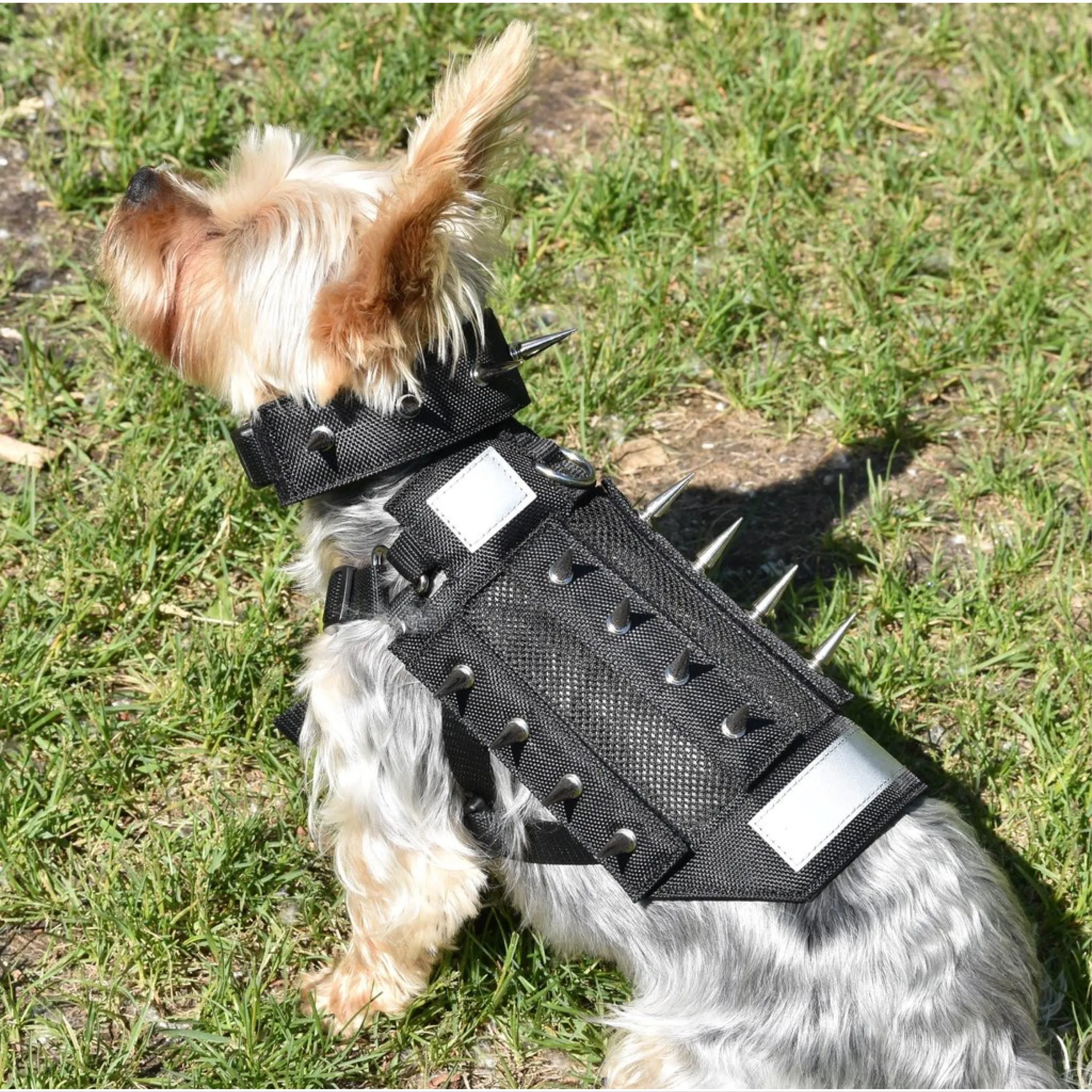 predator protection spiked harness