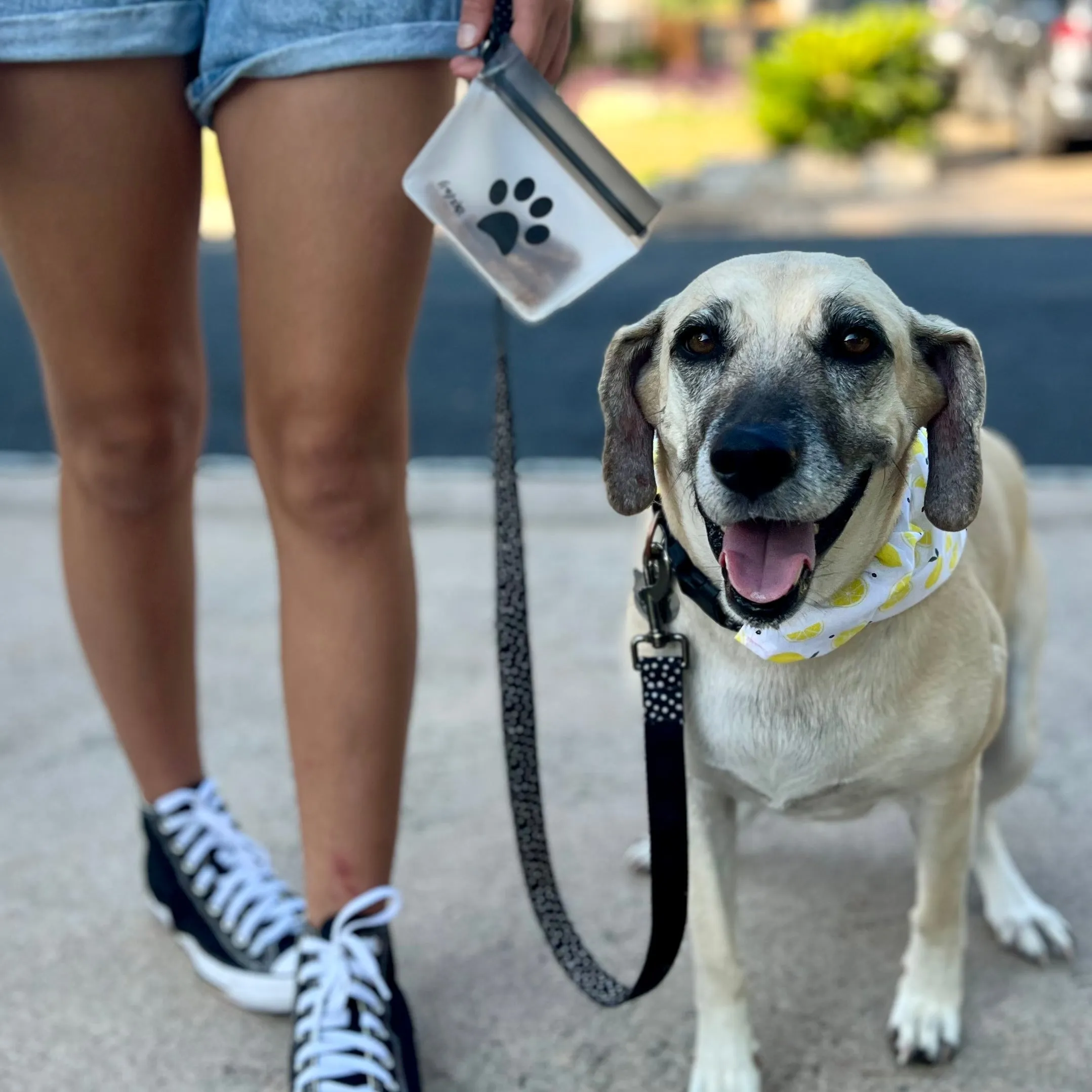 Take Me Too Pet Bags   Carabiner 2-Pack